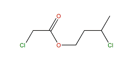 3-Chlorobutyl chloroacetate